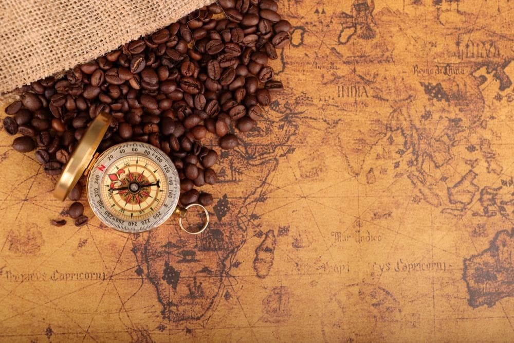 El origen del café