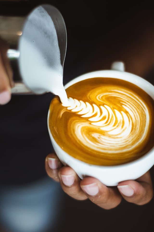 Especialistas en cursos de barista en Ferrolterra